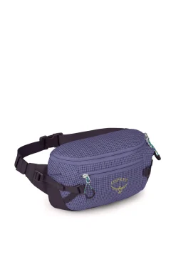 Gürteltasche TRANSPORTER WAIST PACK