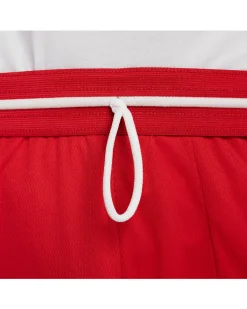 Herren Basketball Shorts DRI-FIT