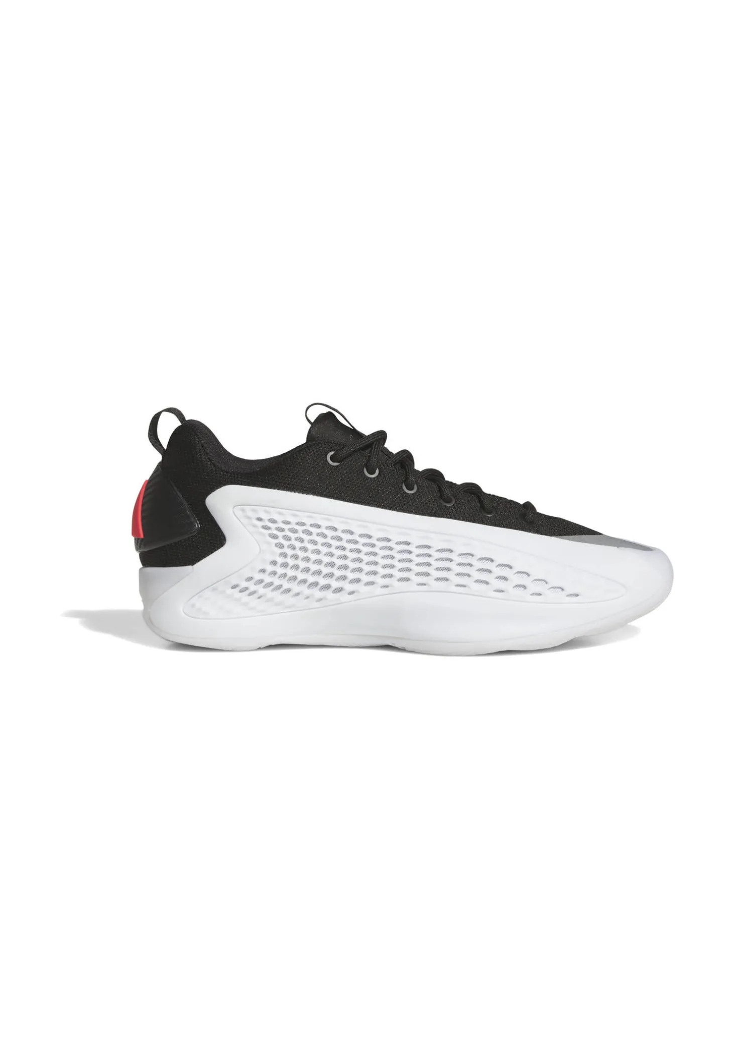 Herren Basketballschuhe ANTHONY 1 LOW