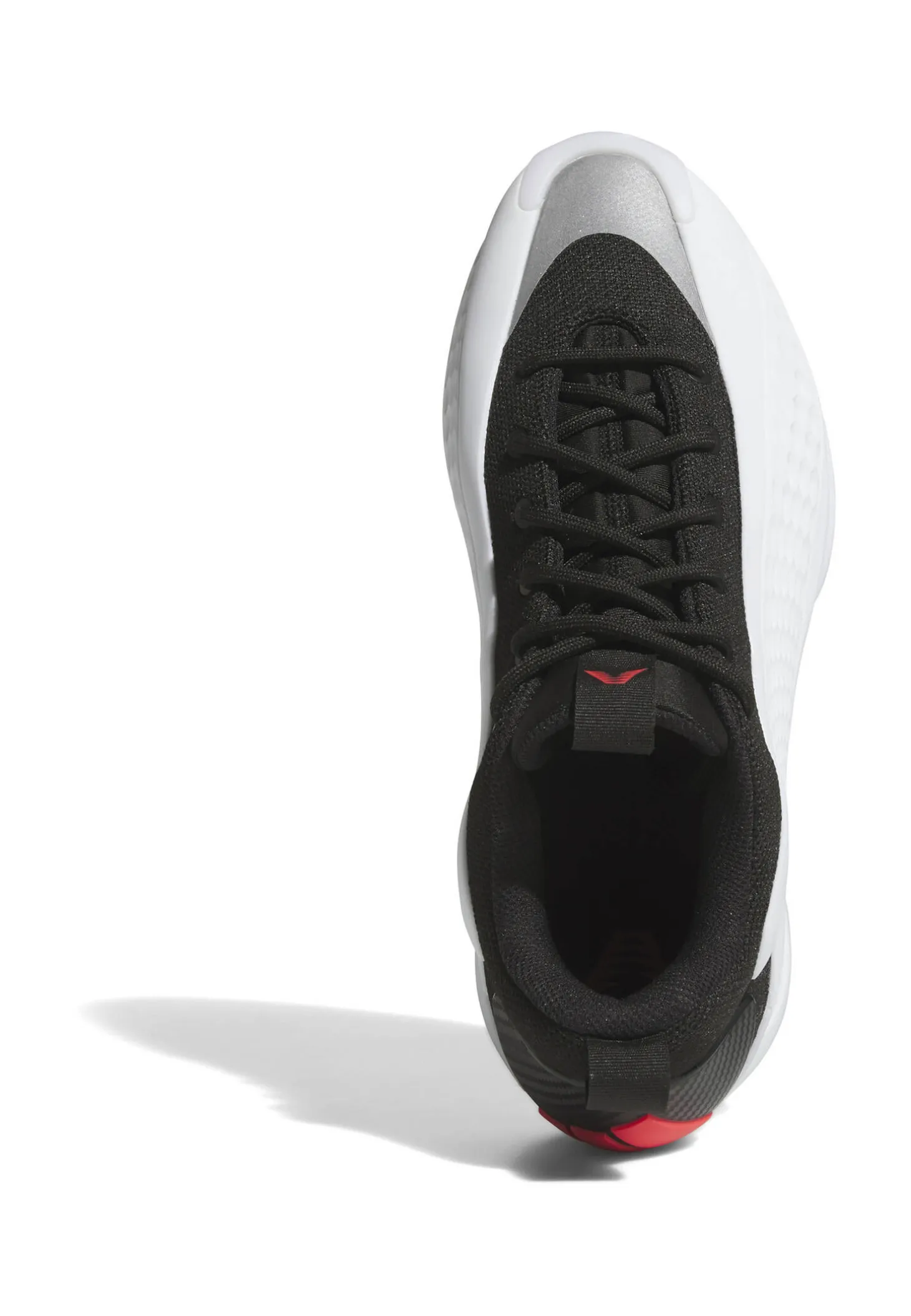 Herren Basketballschuhe ANTHONY 1 LOW