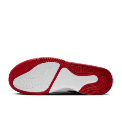 Herren Basketballschuhe JORDAN MAX AURA 5