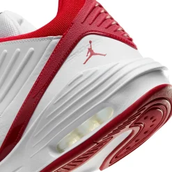 Herren Basketballschuhe JORDAN MAX AURA 5