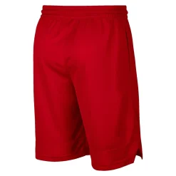 Herren Basketballshorts DRI-FIT ICON M