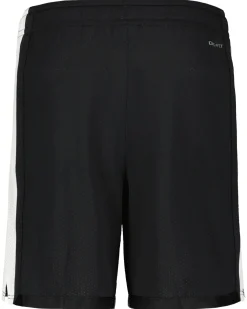 Herren Basketballshorts DRI-FIT