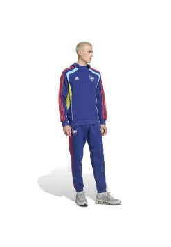 Herren Fußballhoodie FC ARSENAL FESTIVAL PACK HOODIE