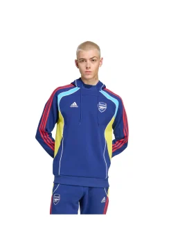 Herren Fußballhoodie FC ARSENAL FESTIVAL PACK HOODIE