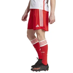 Herren Fußballshorts FC BAYERN MÜNCHEN 2023/24 Heim