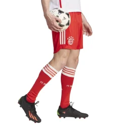 Herren Fußballshorts FC BAYERN MÜNCHEN 2023/24 Heim