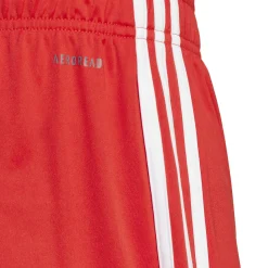 Herren Fußballshorts FC BAYERN MÜNCHEN 2023/24 Heim