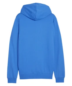 Herren Fußball-Sweatshirt mit Kapuze TEAMGOAL CASUAL HOODY