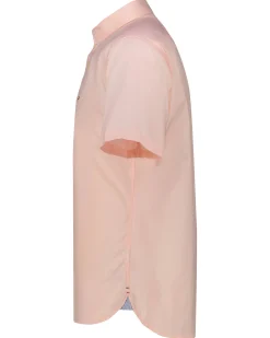 Herren Hemd aus Baumwolle FLEX POPLIN Kurzarm Regular Fit