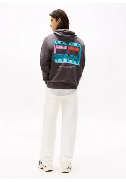 Herren Hoodie aus Baumwolle TJM REG DNA FLAG PLAY