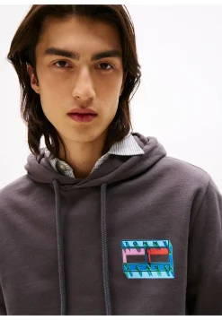 Herren Hoodie aus Baumwolle TJM REG DNA FLAG PLAY