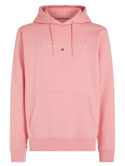 Herren Hoodie LINEAR LOGO