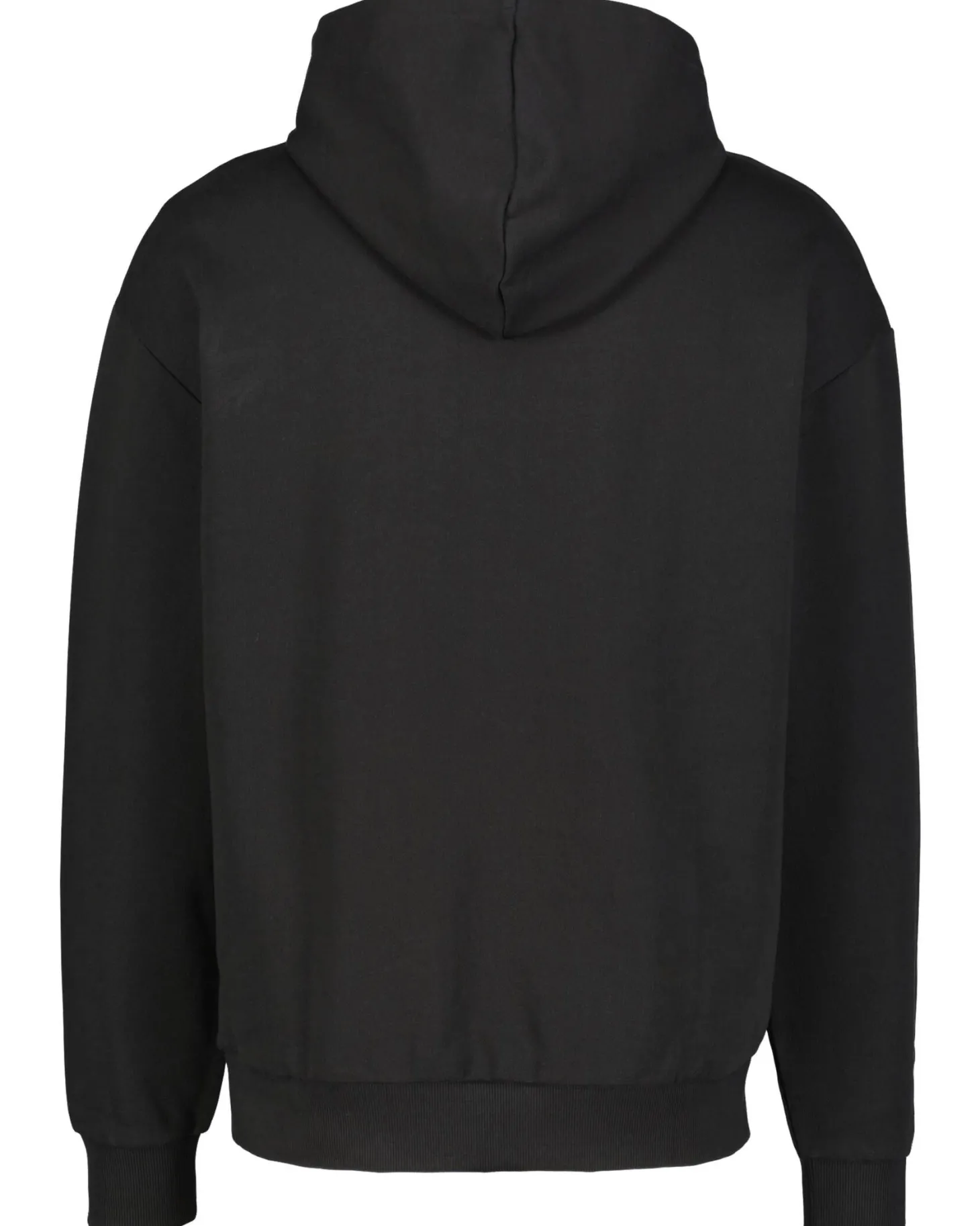 Herren Hoodie NALVES Regular Fit