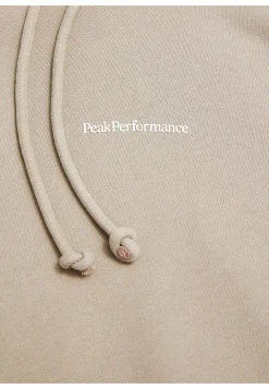 Herren Hoodie ORIGINAL TERRY HOOD-AVID