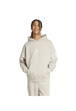 Herren Hoodie Regular Fit