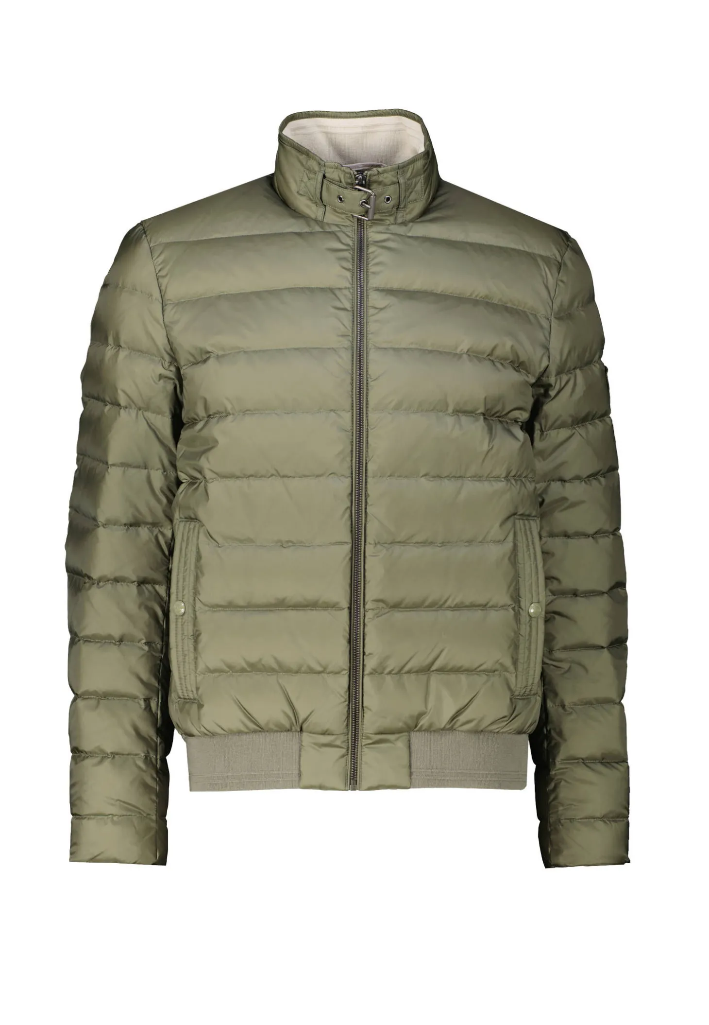 Herren Jacke mit Daunen CIRCUIT Regular Fit