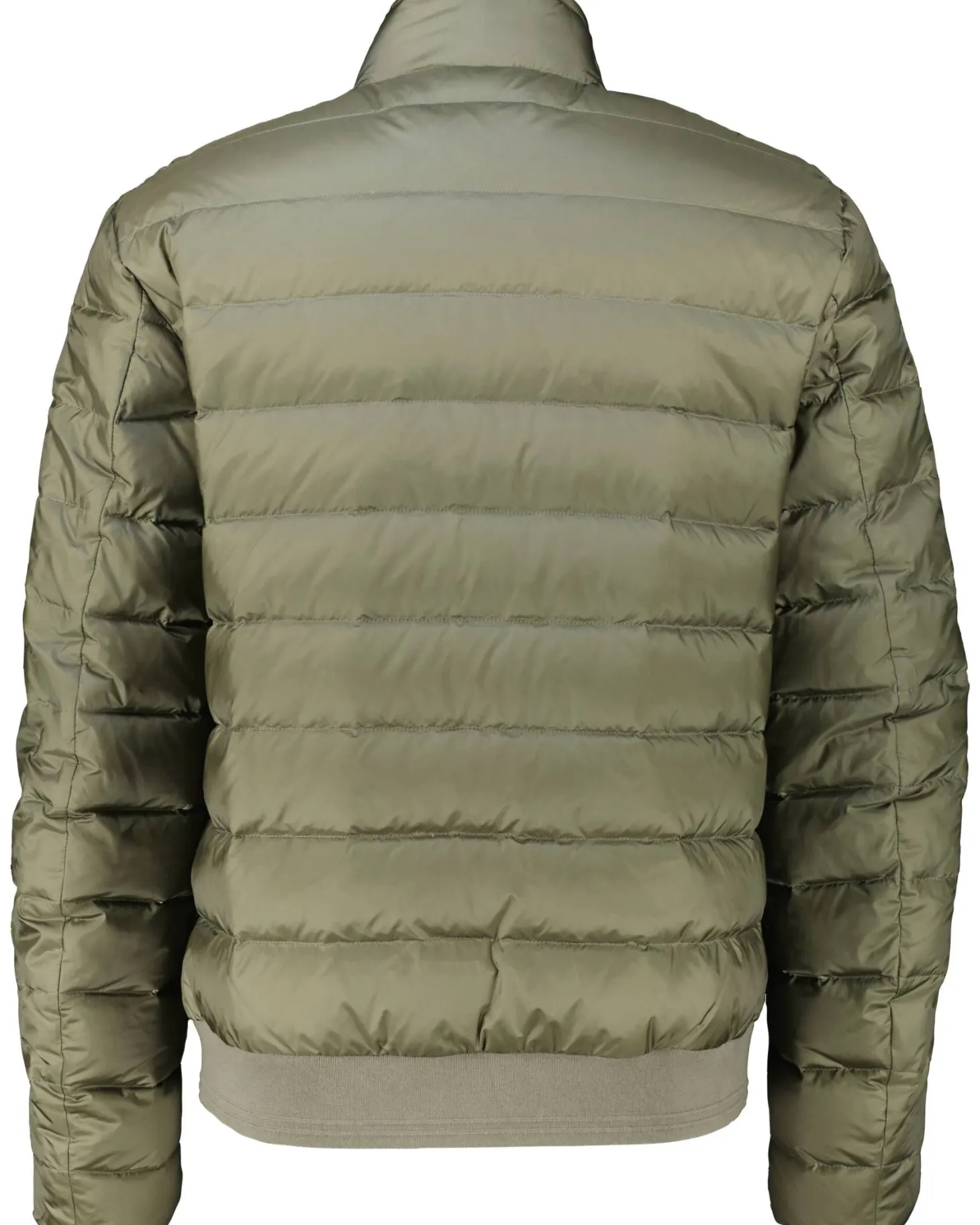 Herren Jacke mit Daunen CIRCUIT Regular Fit