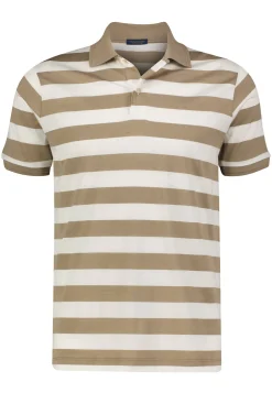 Herren Poloshirt aus Baumwolle und Seide Regular Fit