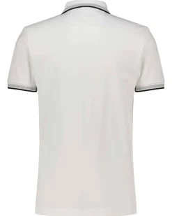 Herren Poloshirt PADDY Regular Fit