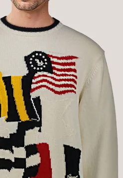 Herren Pullover aus Baumwolle Relaxed Fit