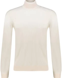 Herren Rollkragenpullover MUSSO-P aus Wolle