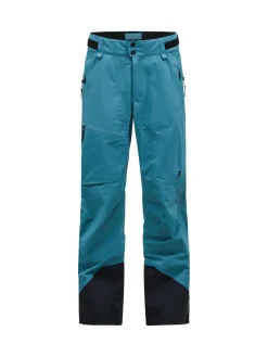 Herren Skihose ALPINE GORE-TEX 3L SHELL