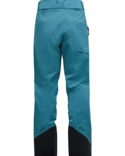 Herren Skihose ALPINE GORE-TEX 3L SHELL