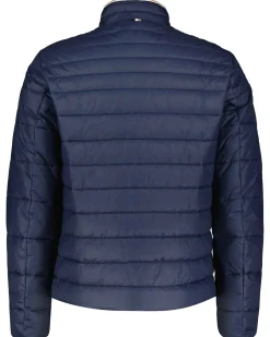 Herren Steppjacke DAROLUS