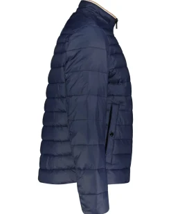 Herren Steppjacke DAROLUS