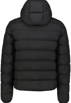 Herren Steppjacke mit Kapuze MONTBROCQ