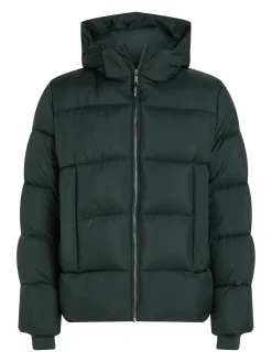 Herren Steppjacke mit Kapuze PUFFER Regular Fit