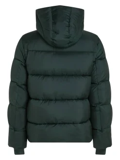 Herren Steppjacke mit Kapuze PUFFER Regular Fit