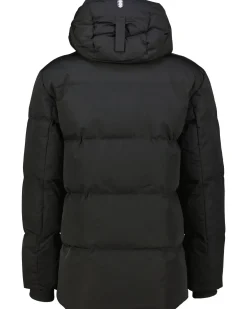 Herren Steppjacke mit Kapuze ICECUBE