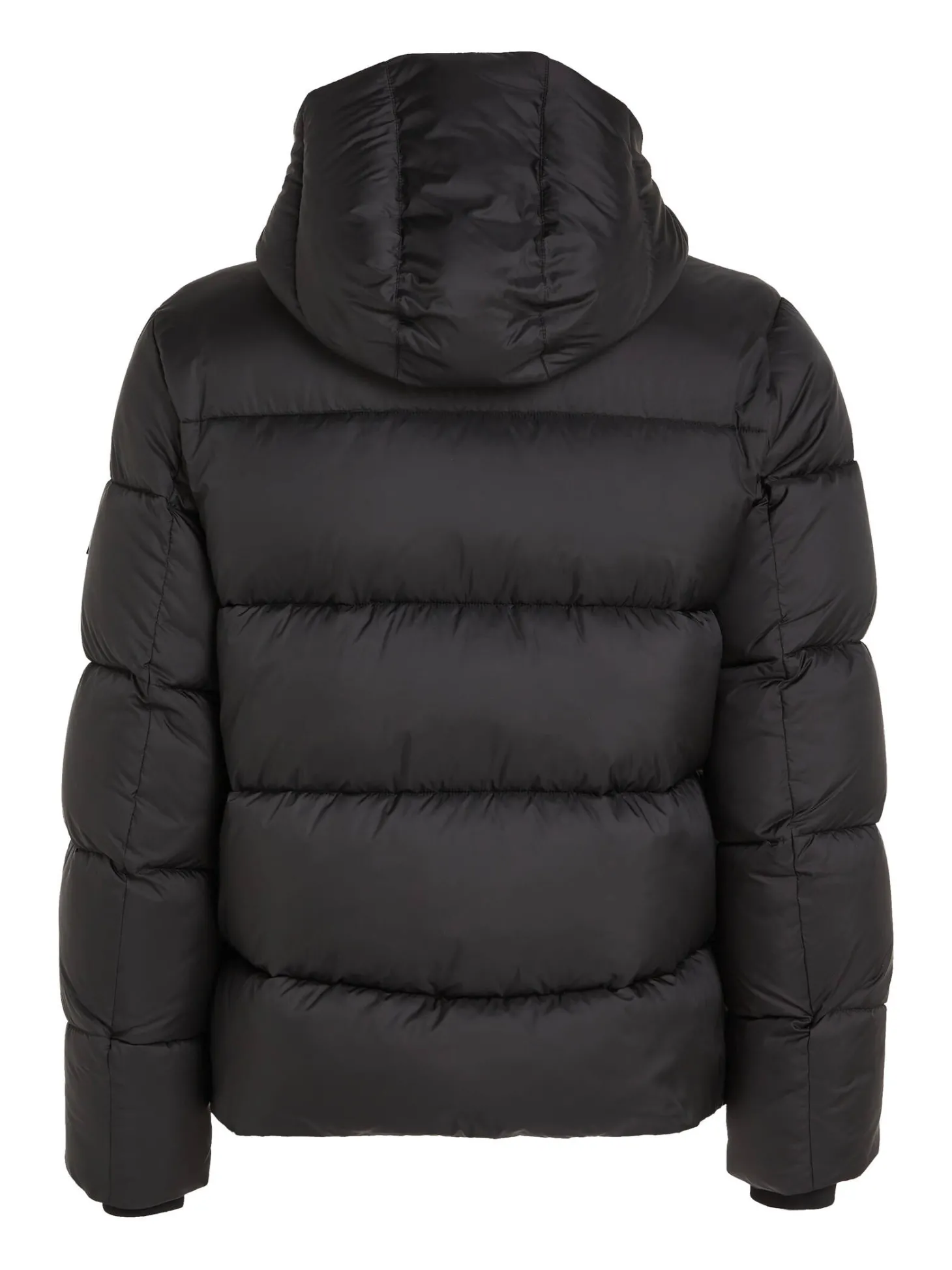 Herren Steppjacke mit Kapuze PUFFER Regular Fit