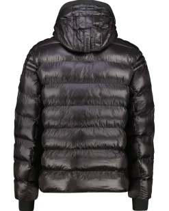 Herren Steppjacke mit SORONA®-Isolierung und Kapuze BLACKJACK