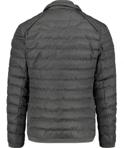 Herren Steppjacke MOL MEN MOLM-668-VUC