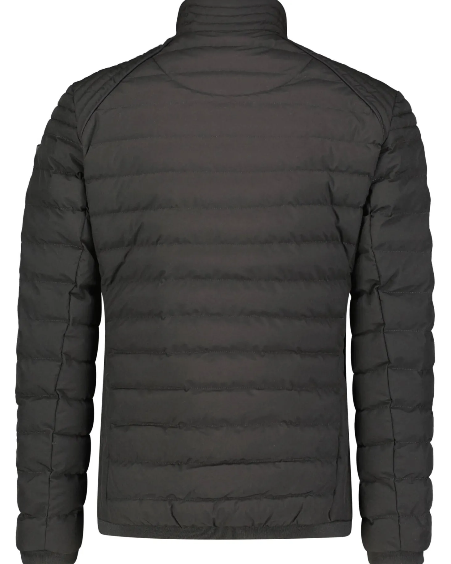 Herren Steppjacke MOLM-565