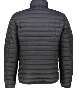 Herren Steppjacke wasserabweisend Regular Fit