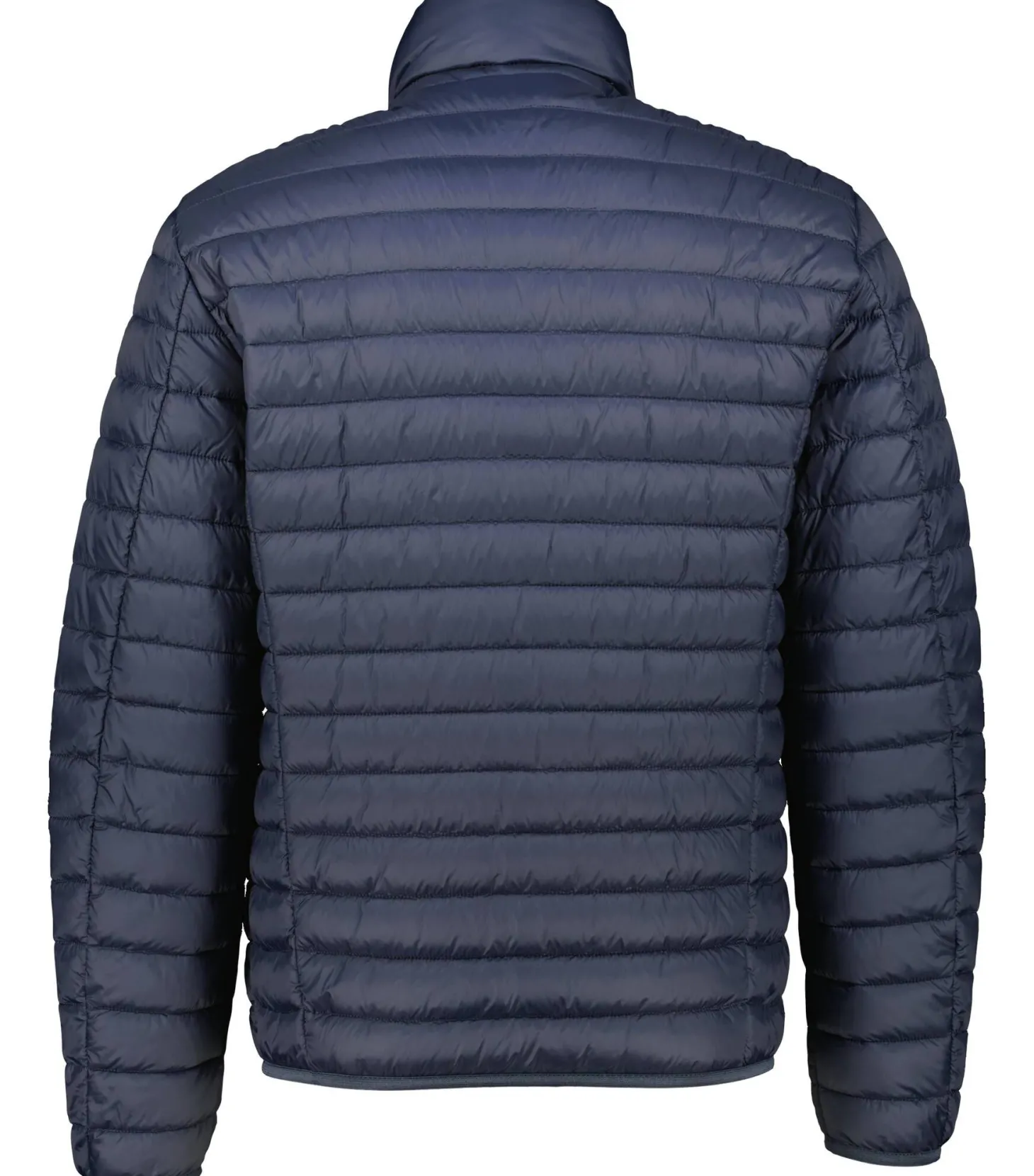 Herren Steppjacke wasserabweisend Regular Fit