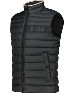 Herren Steppweste DAROLAN