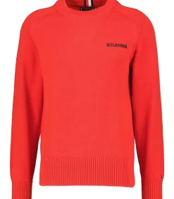 Herren Strickpullover