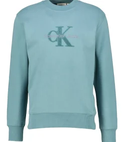 Herren Sweatshirt mit Logo