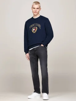 Herren Sweatshirt Regular Fit