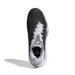Herren Tennisschuhe Outdoor BARRICADE 13 M CL
