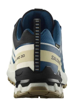 Herren Trailrunningschuhe XA PRO 3D V9 GTX