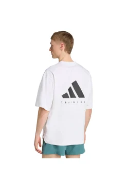 Herren Trainingsshirt POWER