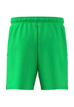 Herren Trainingsshorts D4T
