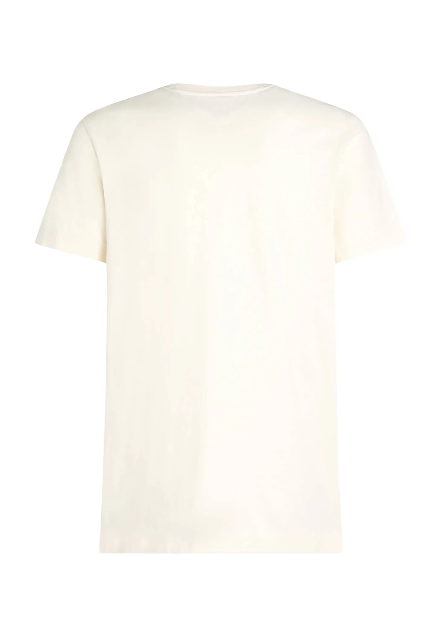 Herren T-Shirt COLOR PHOTO PRINT TEE Regular Fit